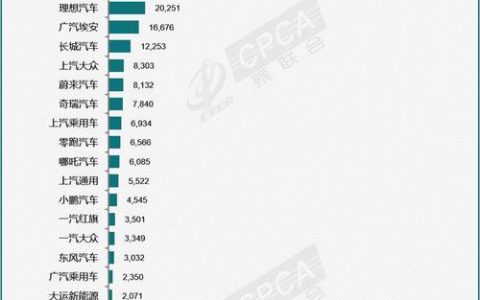 2024北京年新能源指标大的出租公司？支持全网价格对比(北京新能源出租汽车)