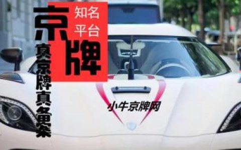 一个北京指标京牌大概要多少钱？专项服务(京牌指标新政)