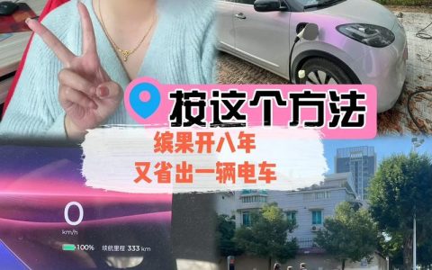 一个电车指标中介价格？（车主指南）(电车指标怎么算)